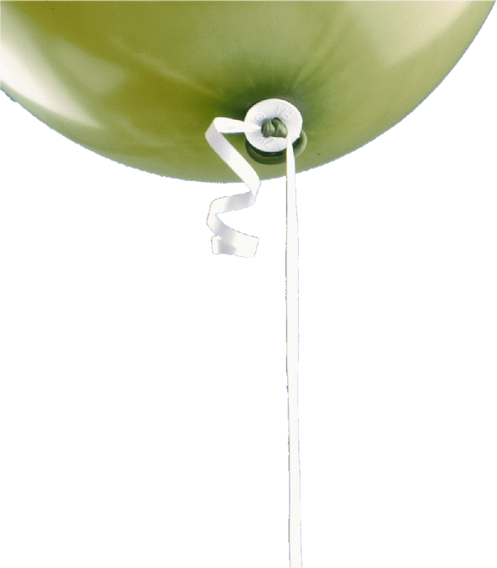zibi-zf4a50-zibi-fix-bandverschl-sse-50er-polyband-120-cm image 3