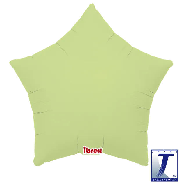 takara-ibrex-star-15-zoll-sternballon-pastel-green image 1