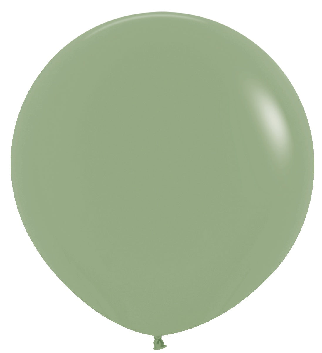 betallic-latex-balloons-deluxe-eucalyptus-latexballon-11-gr-n image 7